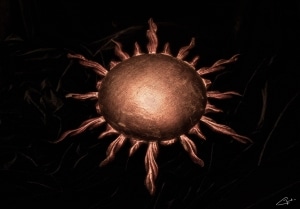 JANETPHOTOGRAPHY_WEB_002_26_SOL